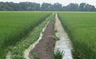 Water Conservation