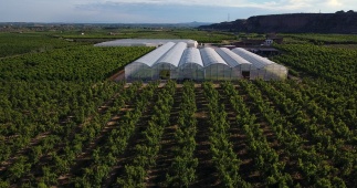 Perfect, snel en economisch planten