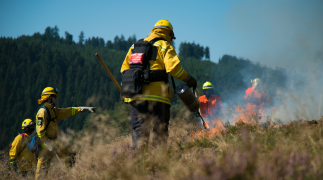 Fire as a solution