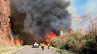 Incendie sous contrôle