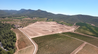Innovación en una empresa vinícola tradicional catalana
