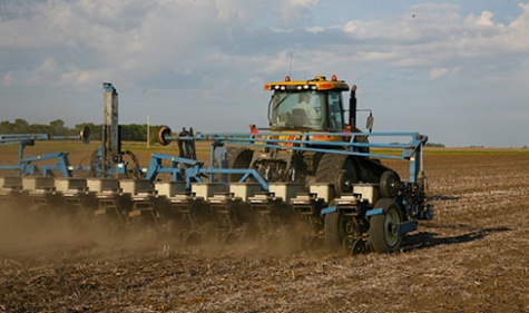 Optimal planting, optimal efficiency