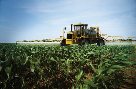 INCREASE YIELDS