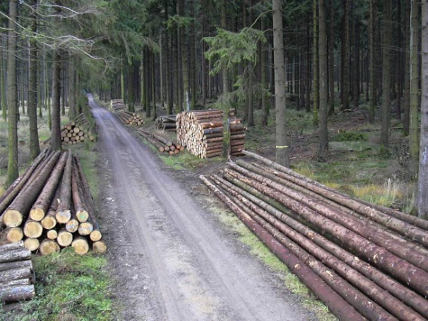 Überragendes Tracking
